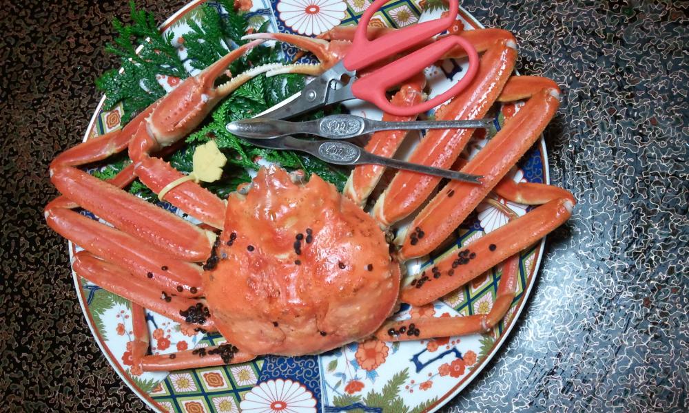 2012-03-27 18.25.20.jpg